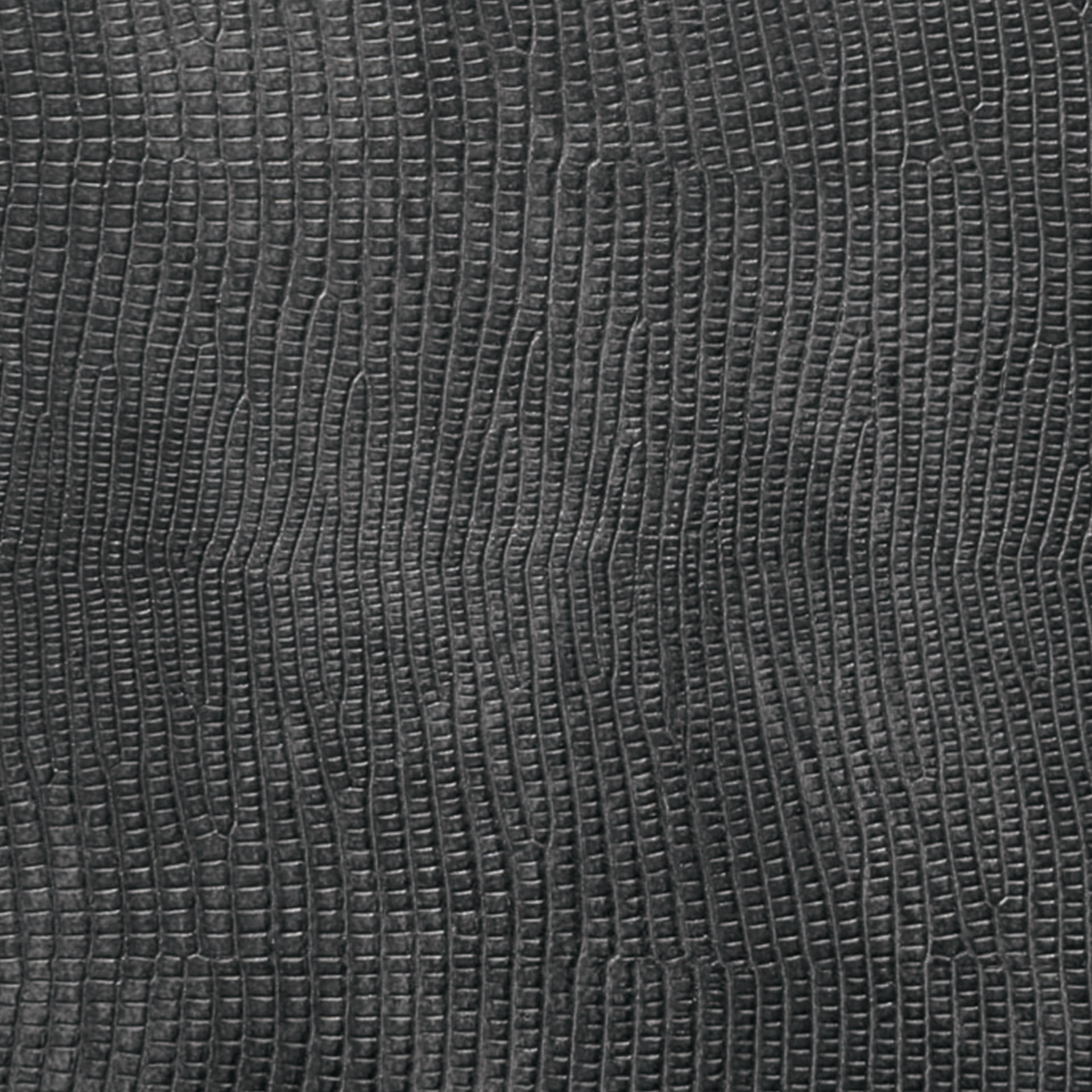 16 / 19 mm Leguan noir