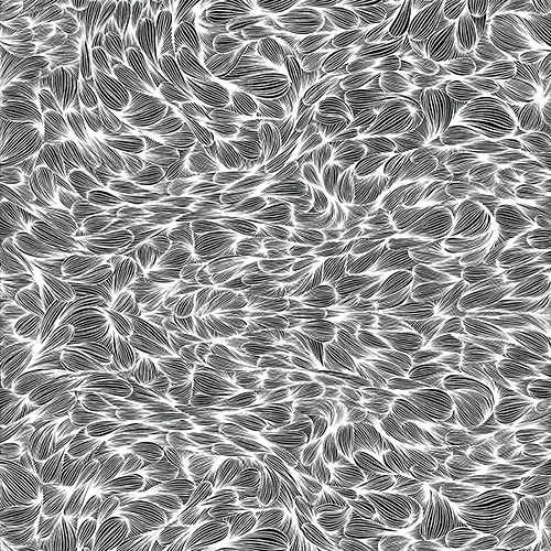 Filaments Blanc Noir