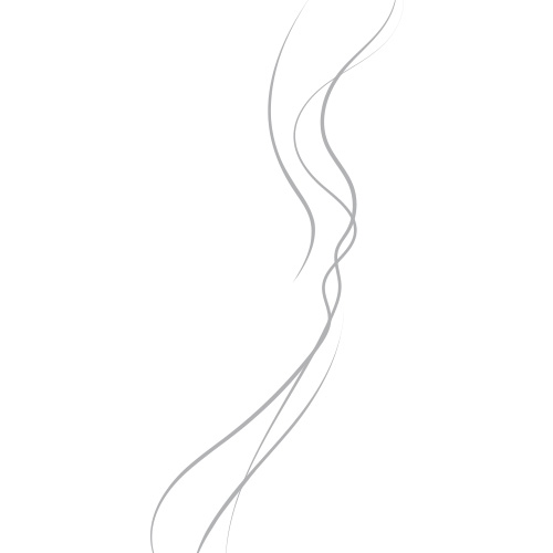 Fumée Blanc Gris souris