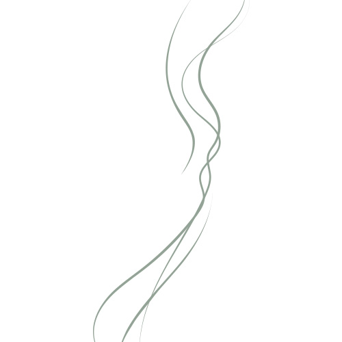 Fumée Blanc Vert olive